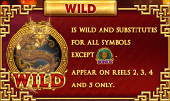 สัญลักษณ์ Wild